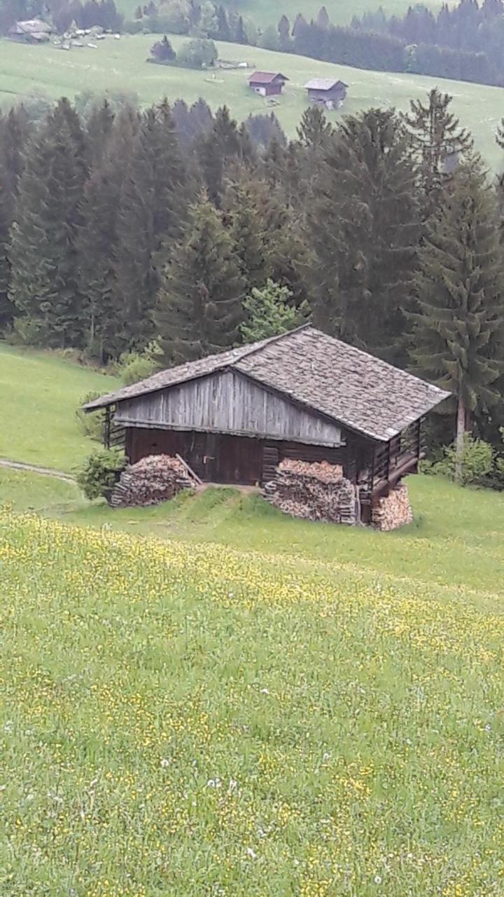 Ferienwohnung Winkl Liesing المظهر الخارجي الصورة